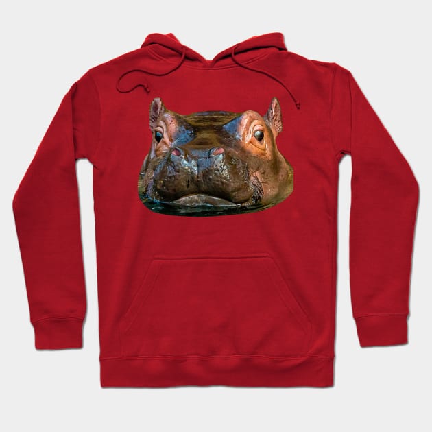 Cute baby Hippo Hoodie by dalyndigaital2@gmail.com